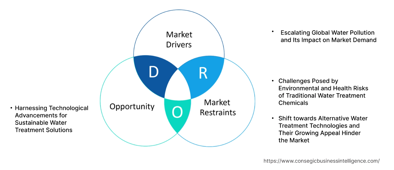 Water Treatment Chemicals Market Dynamics