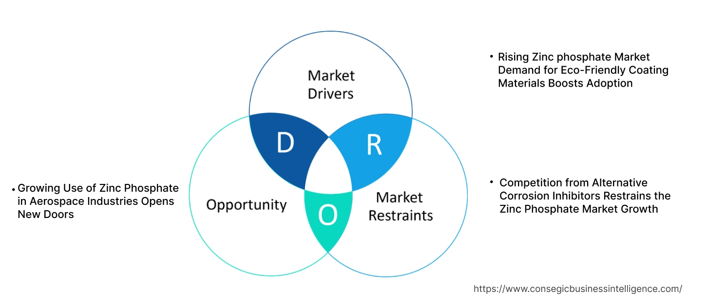 Zinc Phosphate Market Dynamics