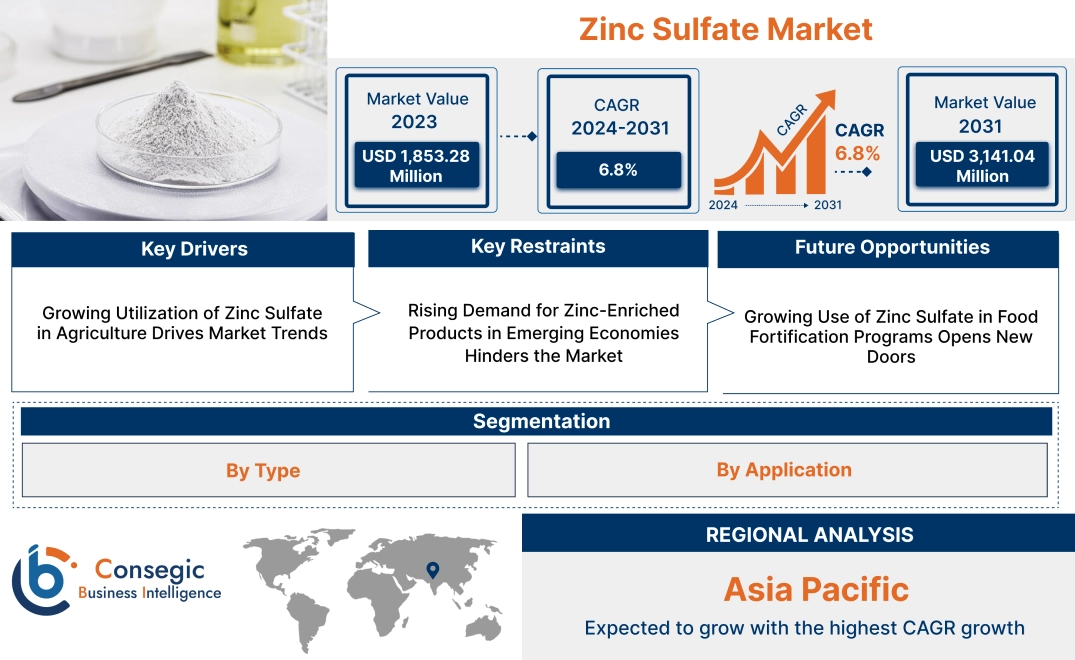 Zinc Sulfate Market